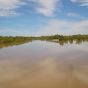 Manners Creek – Central Station