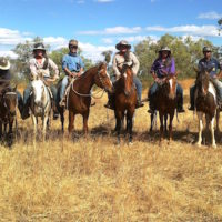 Working with Australian Stockman copy