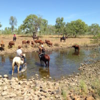 IMG_Diggers waterhole copy