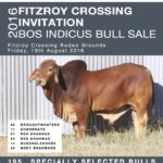 Bull Sale Catalogue 2016-V1