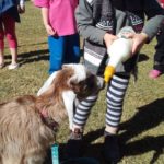 3.3 Preschoolers got to feed Dolly copy